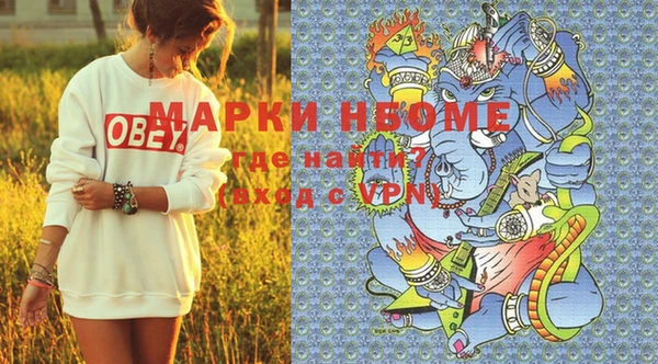 молекула духа Арсеньев
