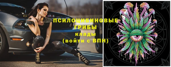 амф Балахна