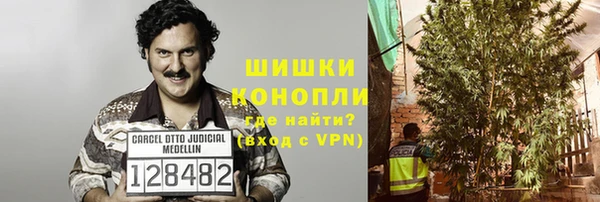 амф Балахна