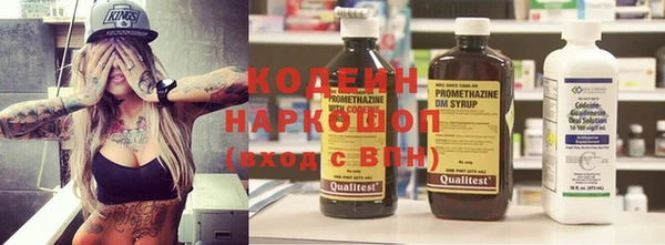 молекула духа Арсеньев