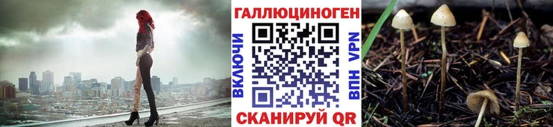 мега маркетплейс  где найти наркотики  Тейково  Псилоцибиновые грибы Psilocybe 